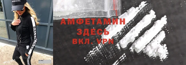 молекула духа Краснослободск