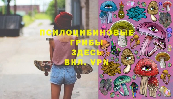 молекула духа Краснослободск