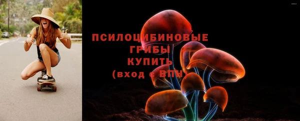 молекула духа Краснослободск