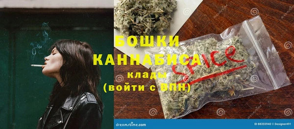 молекула духа Краснослободск