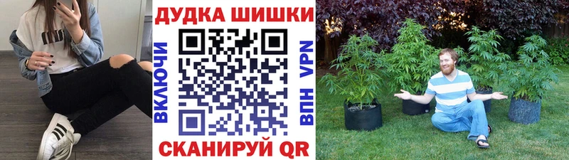 Купить  Котлас  Бошки марихуана Ganja 